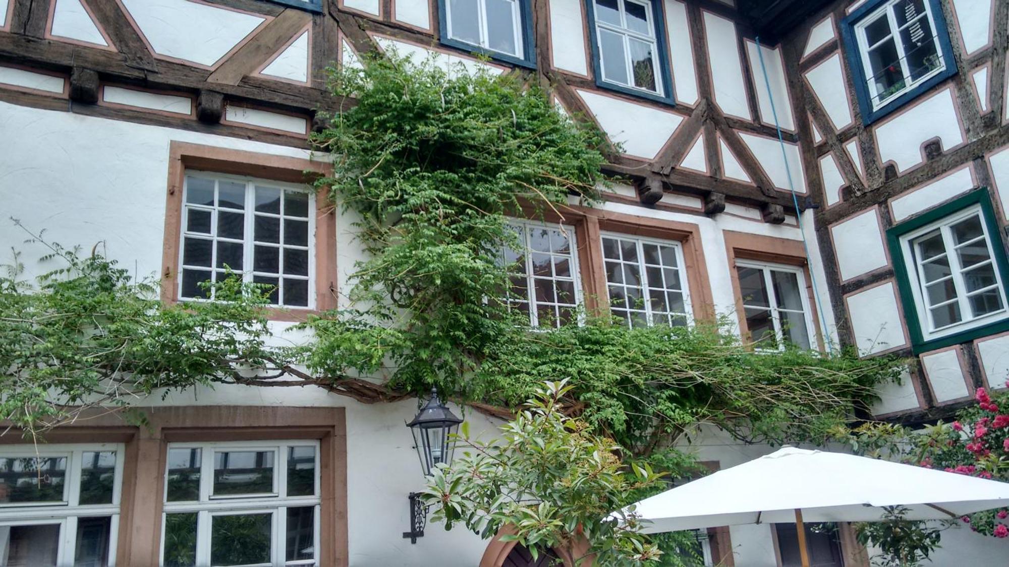 Historischer Adelshof Am Marktplatz, Atelier 70 M² Weinheim Eksteriør billede